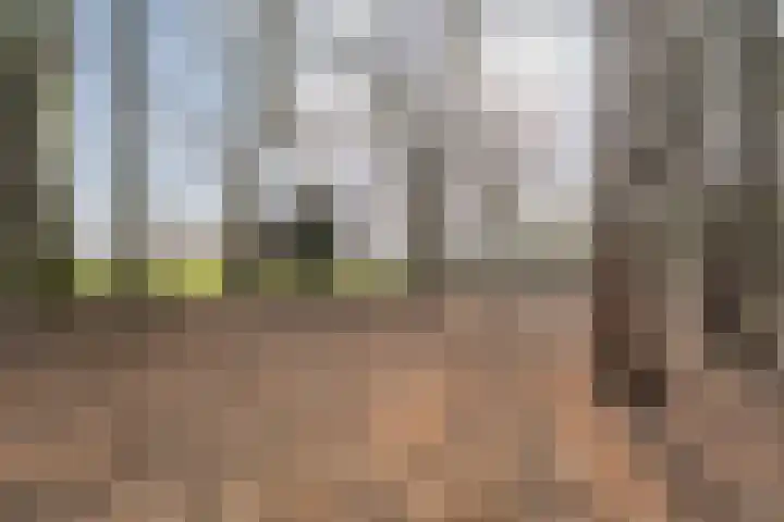 Grote Esweg 8 a Diffelen thumbnail 46