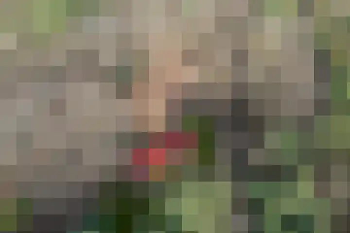 Grote Esweg 8 a Diffelen thumbnail 8