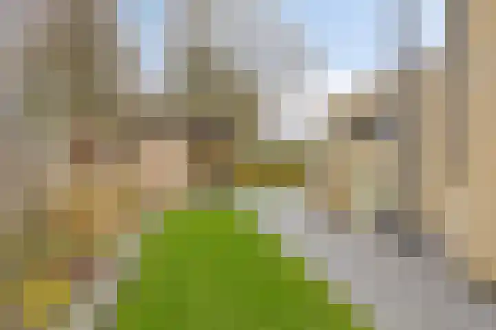 Grote Haag 59 Zeewolde thumbnail 37