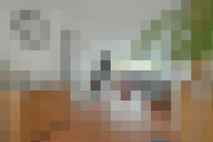 Grote Houw 243 Breda thumbnail 18