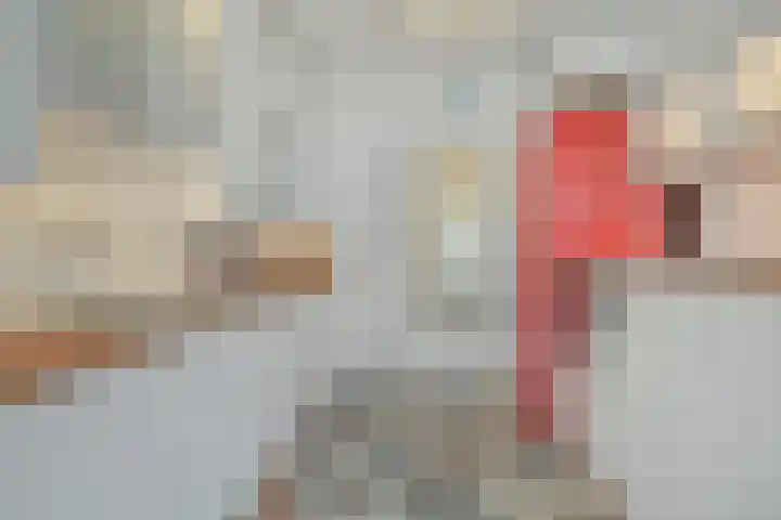 Grote Houw 243 Breda thumbnail 22