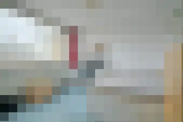Grote Houw 243 Breda thumbnail 35