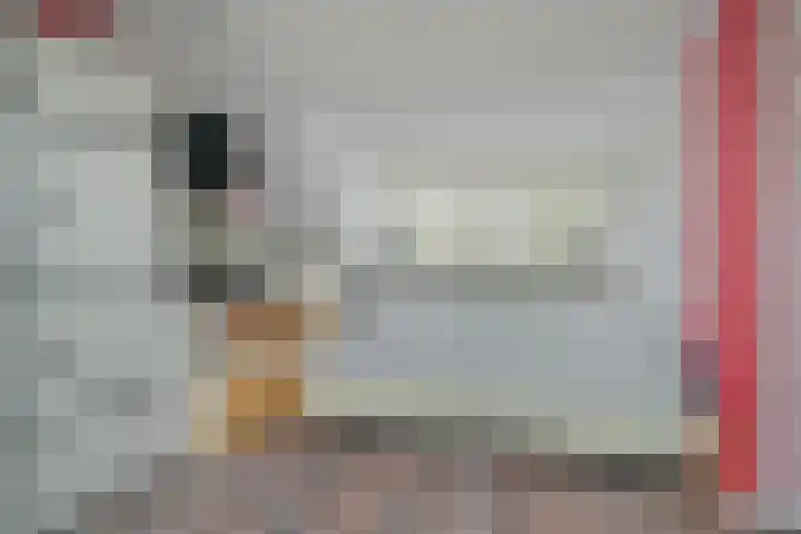 Grote Houw 243 Breda thumbnail 48