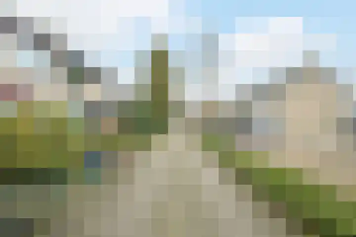 Grote Houw 243 Breda thumbnail 51