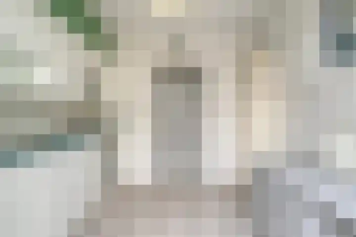 Grote Houw 50 Breda thumbnail 10