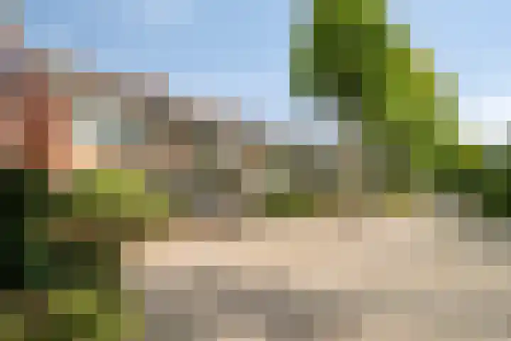Grote Houw 50 Breda thumbnail 28