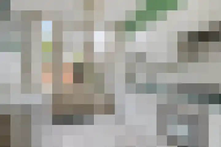 Grote Houw 50 Breda thumbnail 8