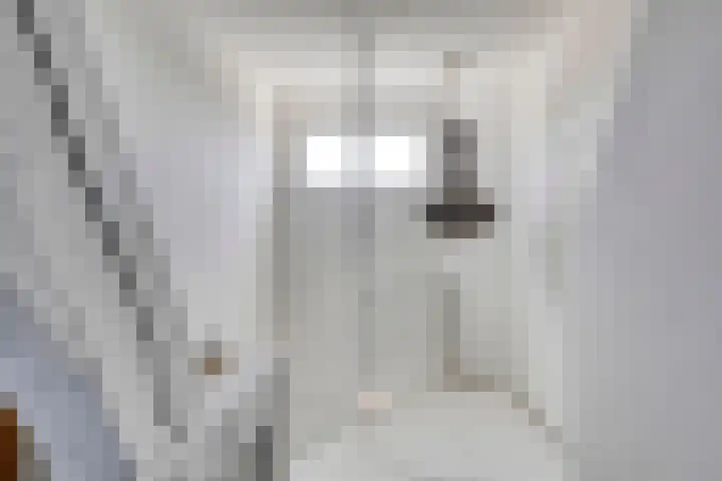 Grote Kade 26 Goes thumbnail 33