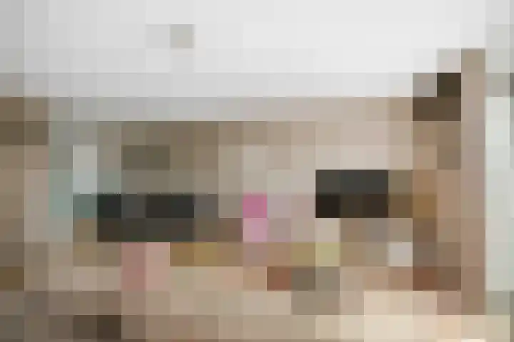 Grote Molenakker 11 Bathmen thumbnail 12