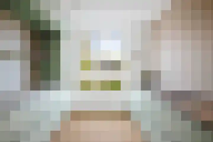 Grote Molenakker 11 Bathmen thumbnail 17
