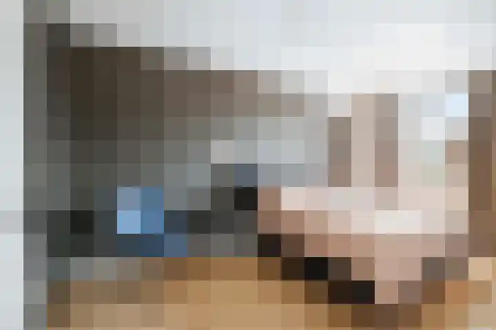 Grote Molenakker 11 Bathmen thumbnail 27