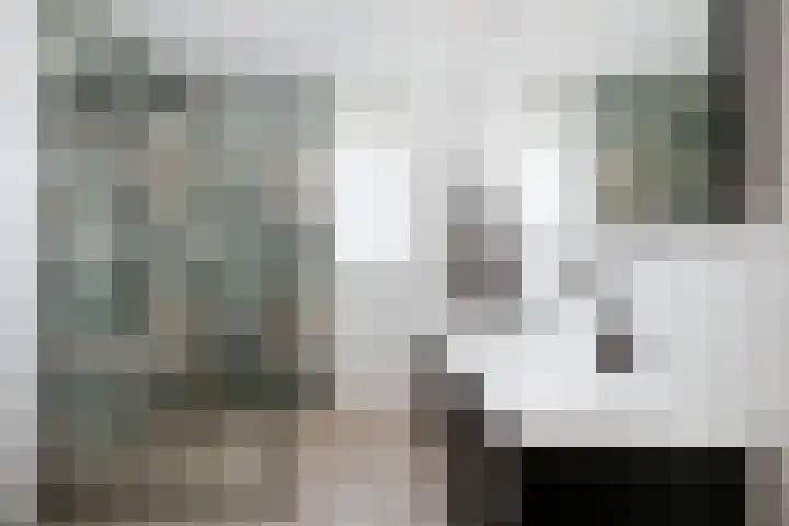 Grote Molenakker 11 Bathmen thumbnail 31