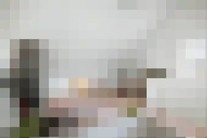 Grote Molenakker 11 Bathmen thumbnail 36