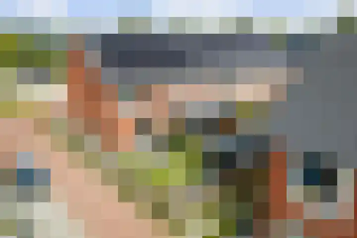 Grote Molenakker 11 Bathmen thumbnail 4