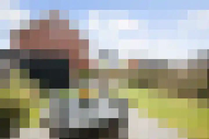 Grote Molenakker 11 Bathmen thumbnail 43