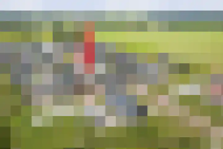 Grote Molenakker 11 Bathmen thumbnail 45