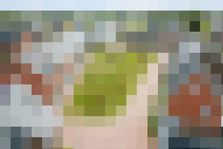 Grote Molenakker 11 Bathmen thumbnail 48