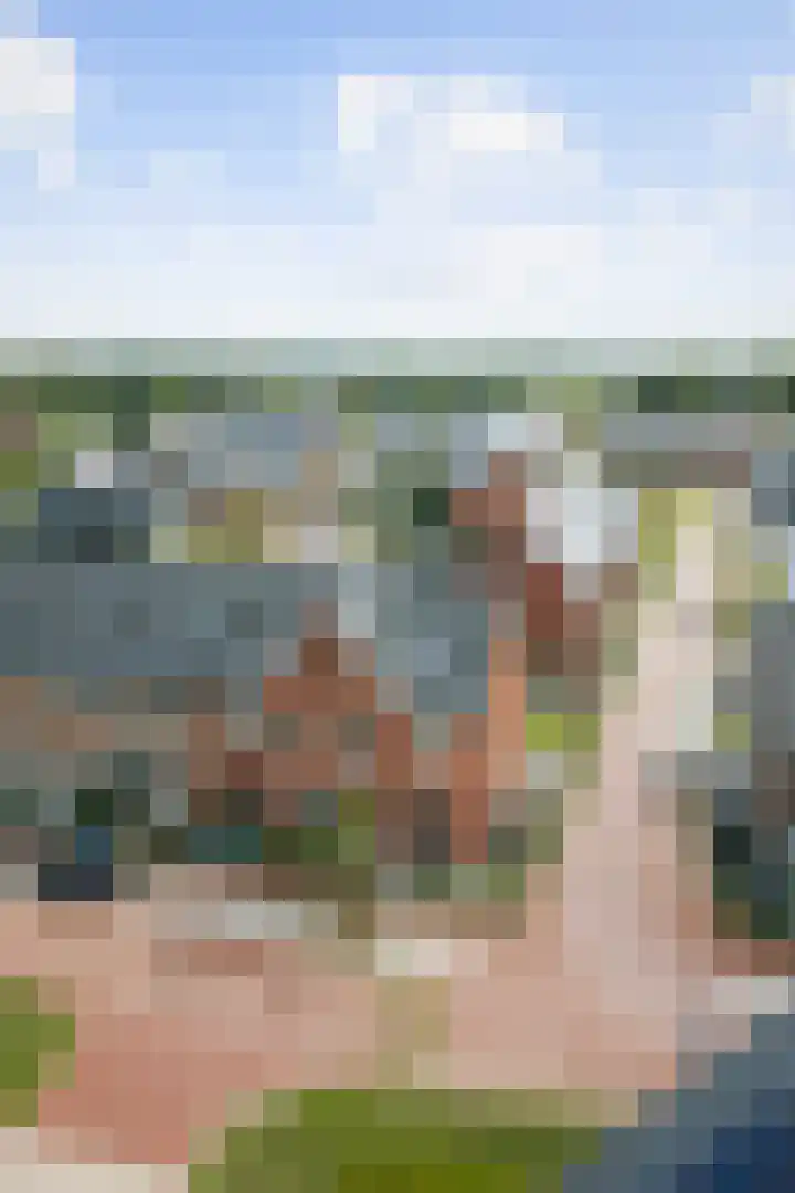 Grote Molenakker 11 Bathmen thumbnail 52