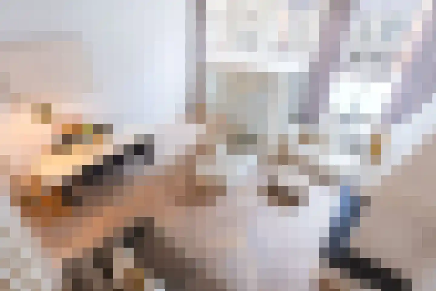 Grote Oost 64 Hoorn thumbnail 21