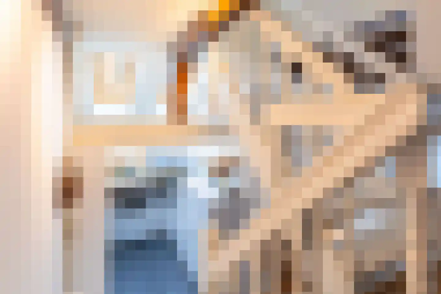 Grote Oost 64 Hoorn thumbnail 23