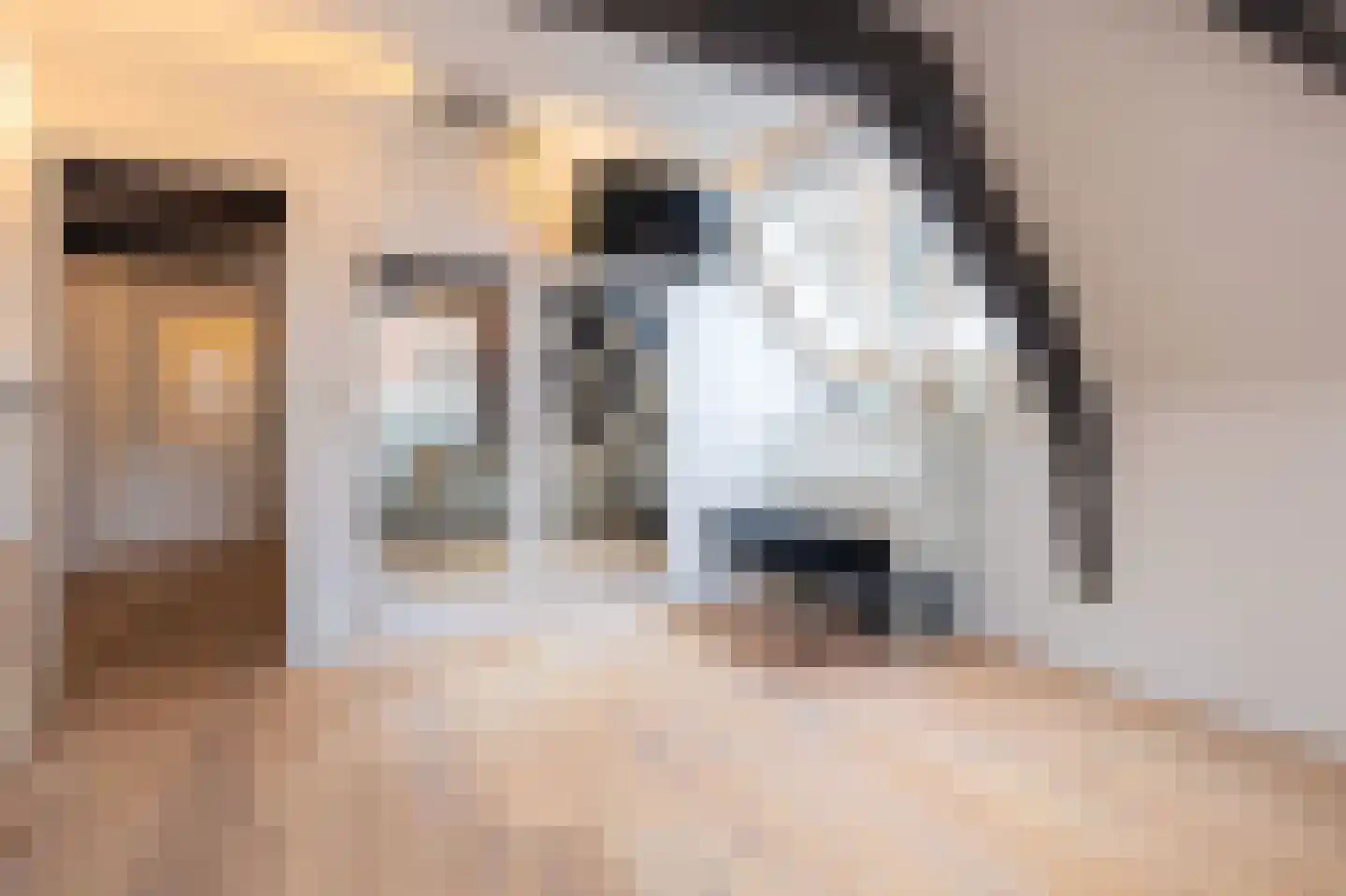 Grote Oost 64 Hoorn thumbnail 30