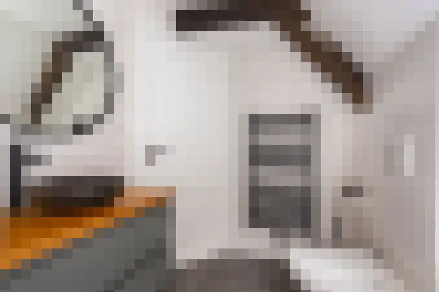 Grote Oost 64 Hoorn thumbnail 37