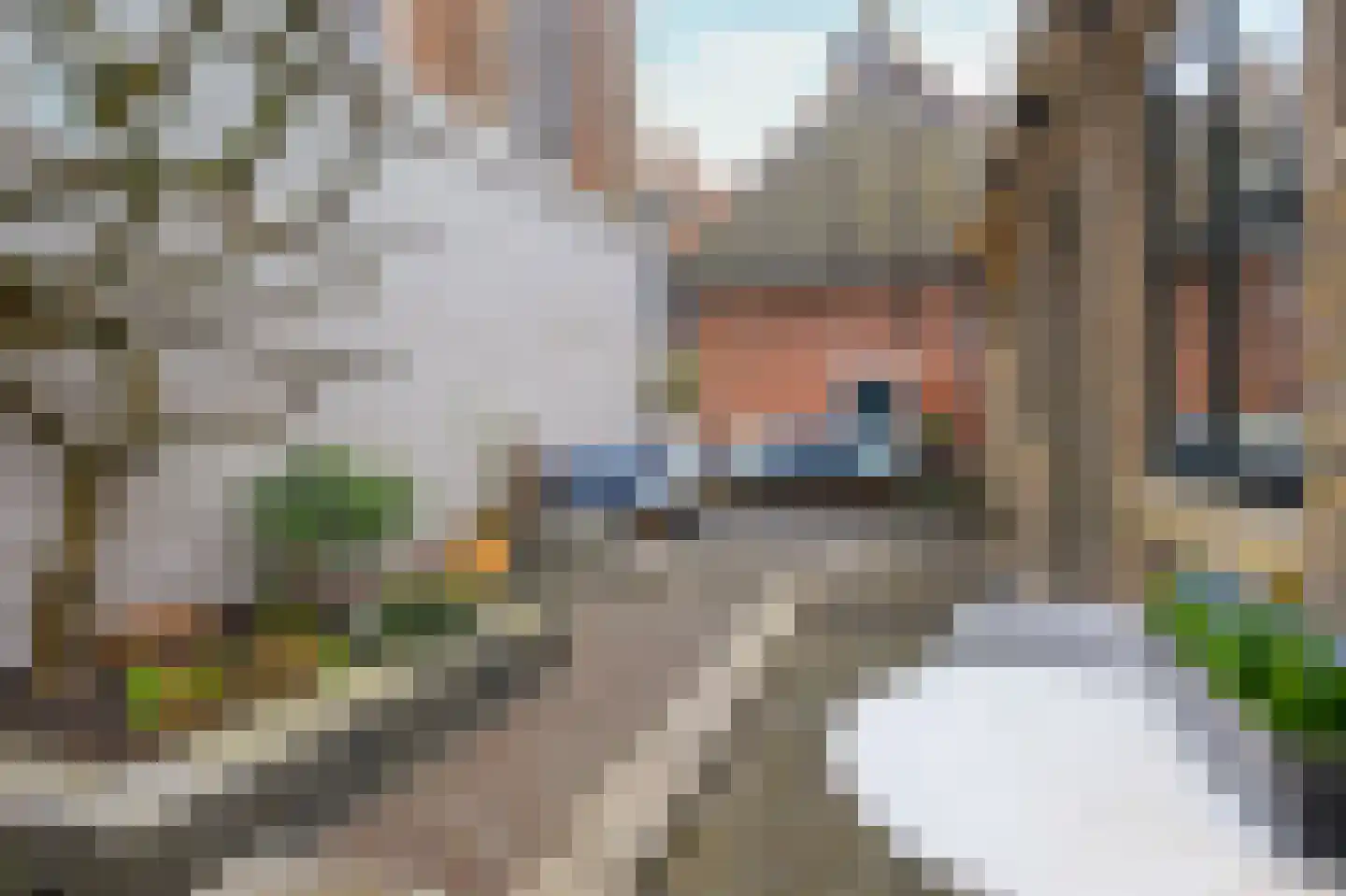 Grote Oost 64 Hoorn thumbnail 45