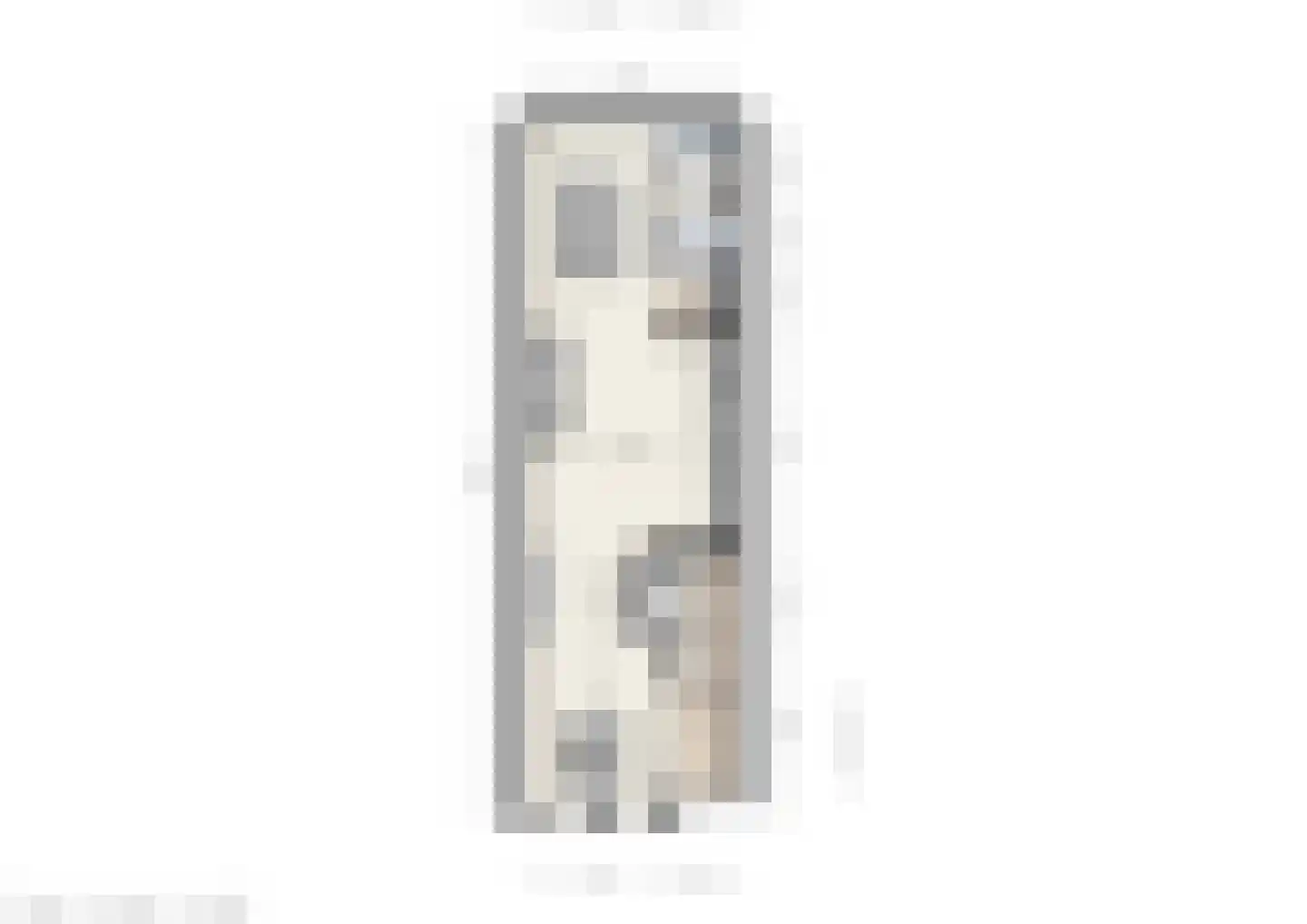 Grote Overstraat 22 Deventer thumbnail 35