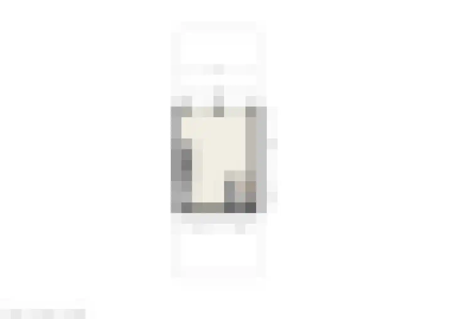 Grote Overstraat 22 Deventer thumbnail 38
