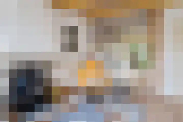 Grote Reed 2 Kimswerd thumbnail 12