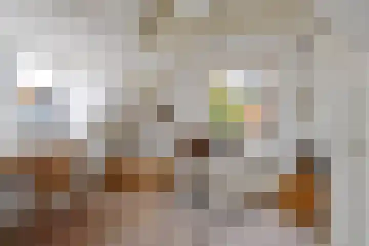 Grote Reed 2 Kimswerd thumbnail 21