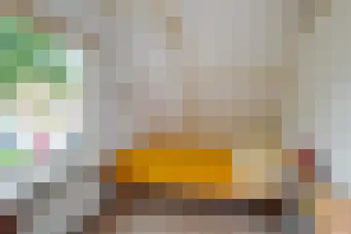 Grote Reed 2 Kimswerd thumbnail 25