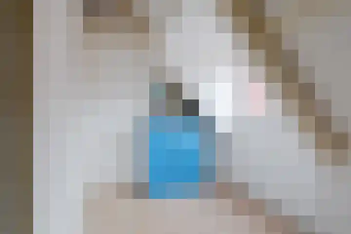 Grote Reed 2 Kimswerd thumbnail 26