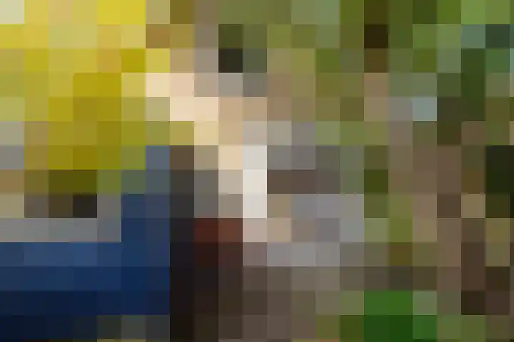 Grote Reed 2 Kimswerd thumbnail 29
