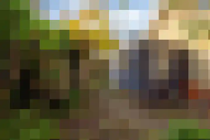 Grote Reed 2 Kimswerd thumbnail 30