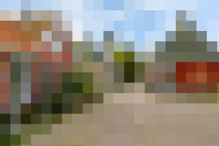 Grote Reed 2 Kimswerd thumbnail 4