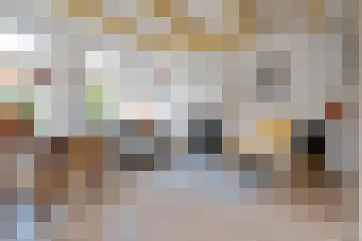 Grote Reed 2 Kimswerd thumbnail 7