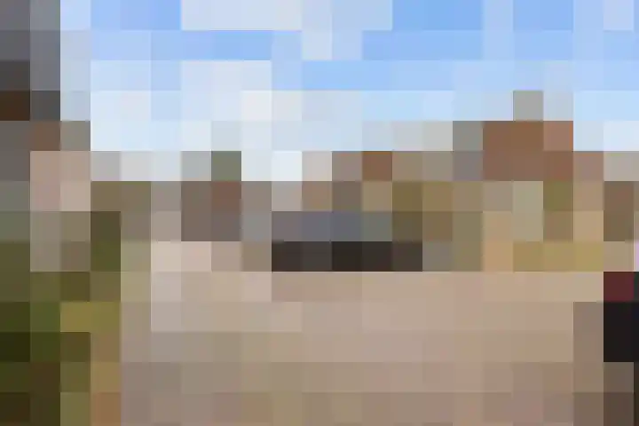 Grote Reed 6 Kimswerd thumbnail 12
