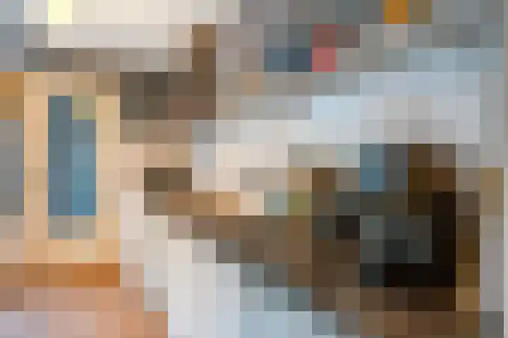 Grote Reed 6 Kimswerd thumbnail 15