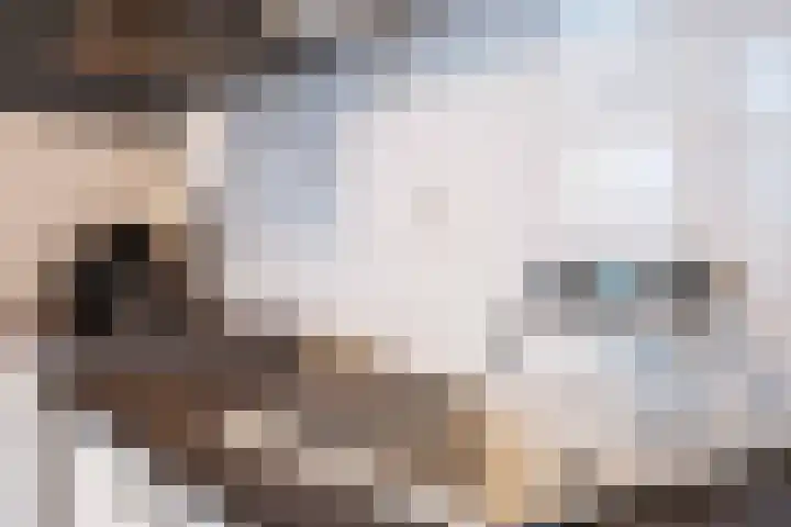 Grote Reed 6 Kimswerd thumbnail 16
