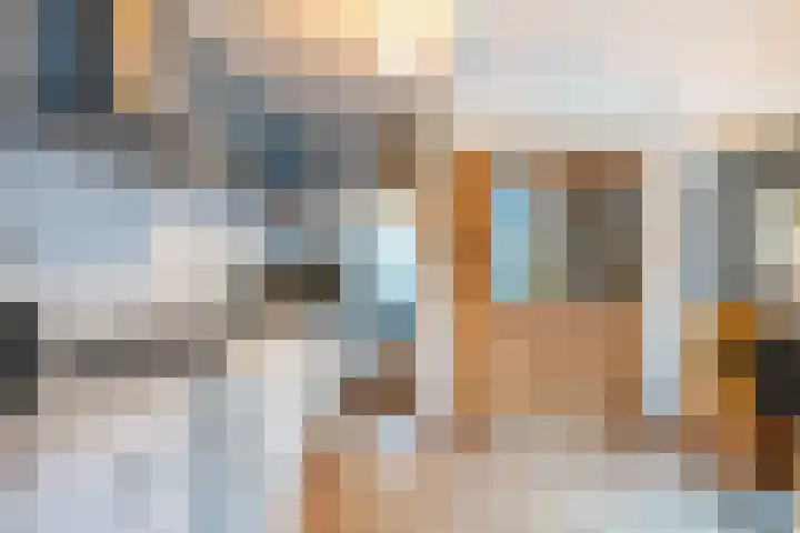 Grote Reed 6 Kimswerd thumbnail 19