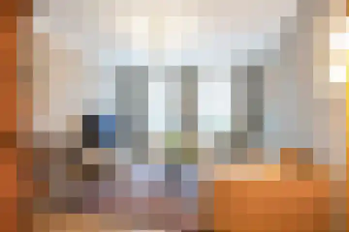 Grote Reed 6 Kimswerd thumbnail 25
