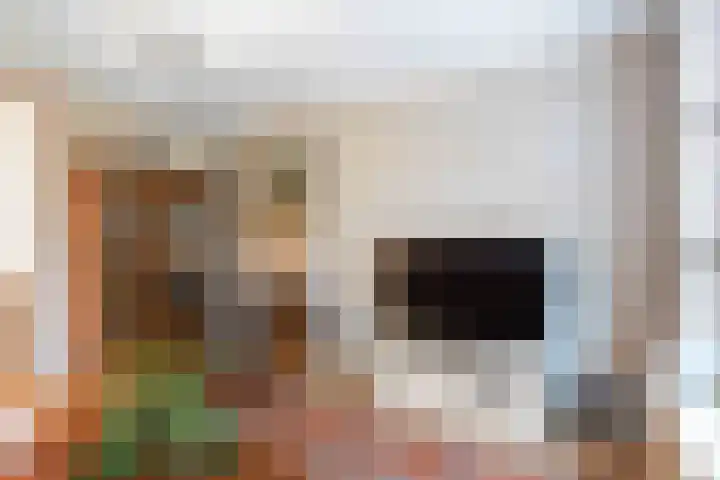 Grote Reed 6 Kimswerd thumbnail 29