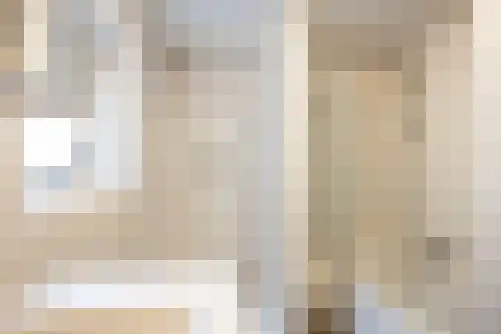 Grote Reed 6 Kimswerd thumbnail 31