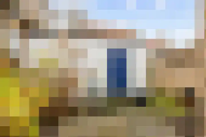 Grote Reed 6 Kimswerd thumbnail 36