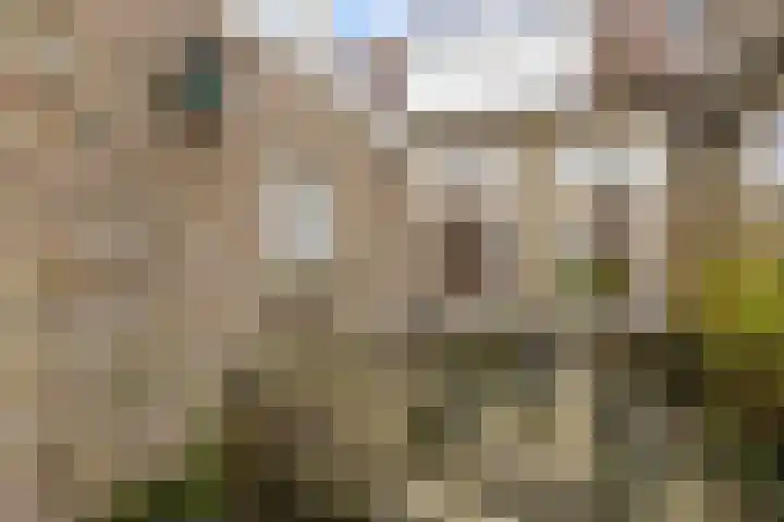 Grote Reed 6 Kimswerd thumbnail 38