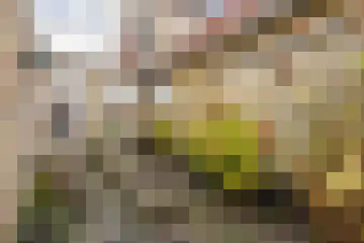 Grote Reed 6 Kimswerd thumbnail 41