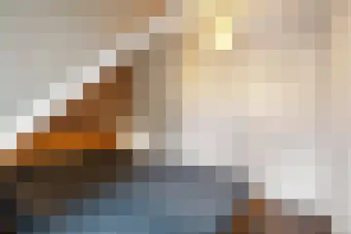 Grote Reed 6 Kimswerd thumbnail 45