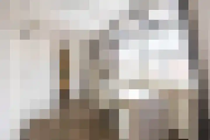 Grote Reed 6 Kimswerd thumbnail 49