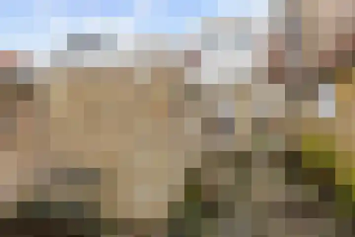 Grote Reed 6 Kimswerd thumbnail 6